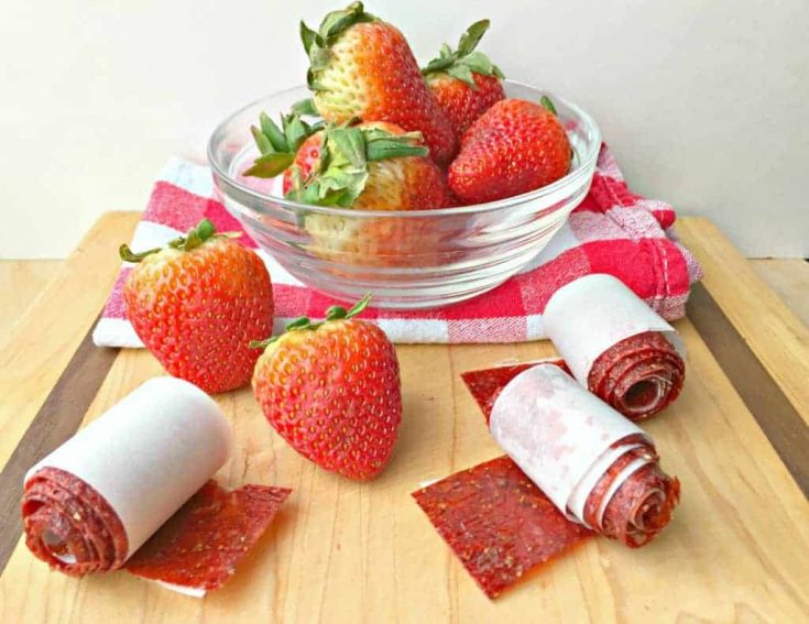 Strawberry Fruit Roll-ups