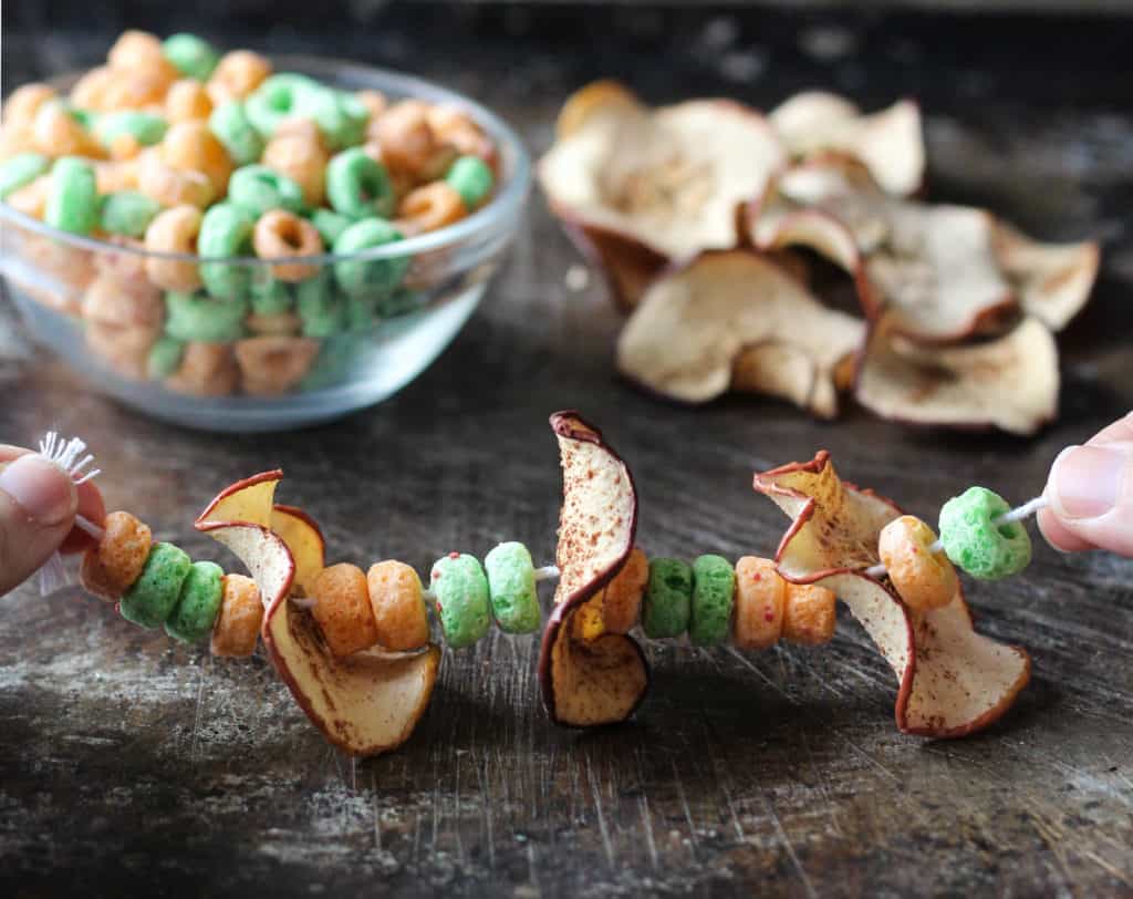 dried apple slices