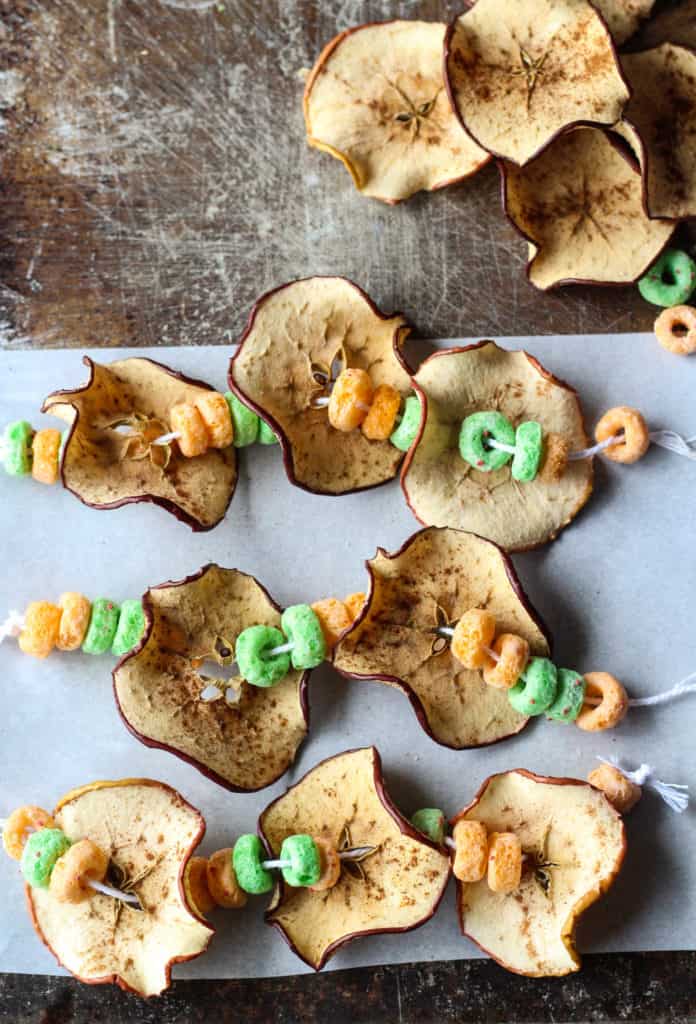 dried apple slices