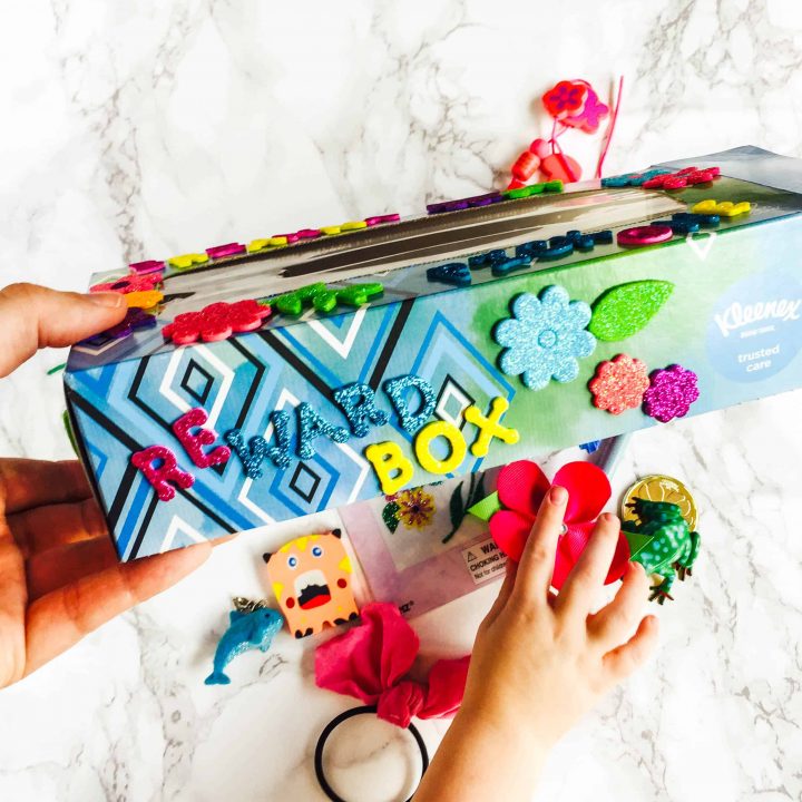 Kids' Rewards Box Delicious Made Easy