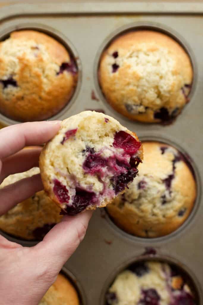 Hand holding half of an old-fashioned blueberry muffin in front of a muffin tin full of blueberry muffins.