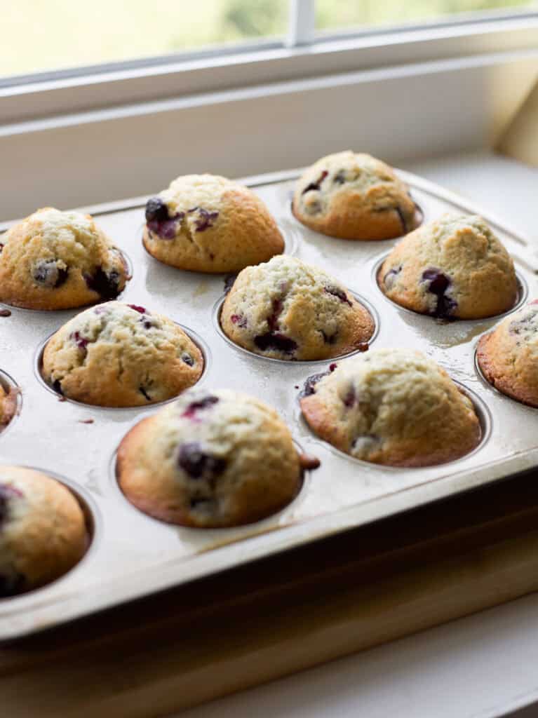 Old-fashioned blueberry muffins in a muffin tin.
